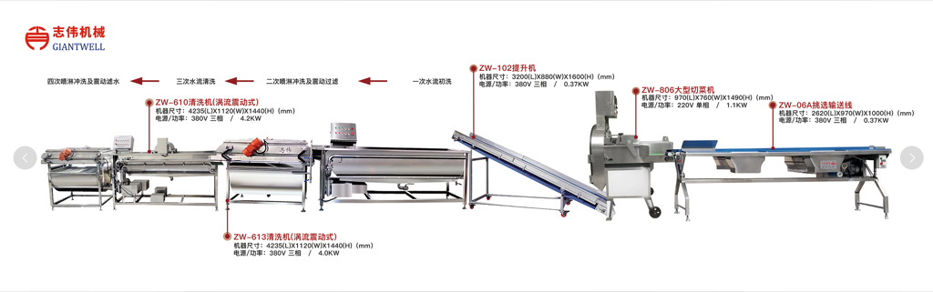葉菜類(lèi)凈菜加工線(xiàn)